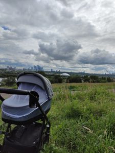 На переднем плане фотографии стоит детская коляска, закрытая москитной сеткой, с которой открывается панорамный вид на зелёные просторы Крылатских холмов и виднеющиеся на горизонте небоскрёбы «Москва-Сити» под кучевыми облаками.